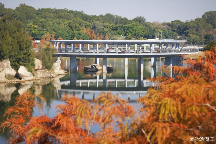 剪辑练习 — 舞台瞬间·沉浸版 缩略图