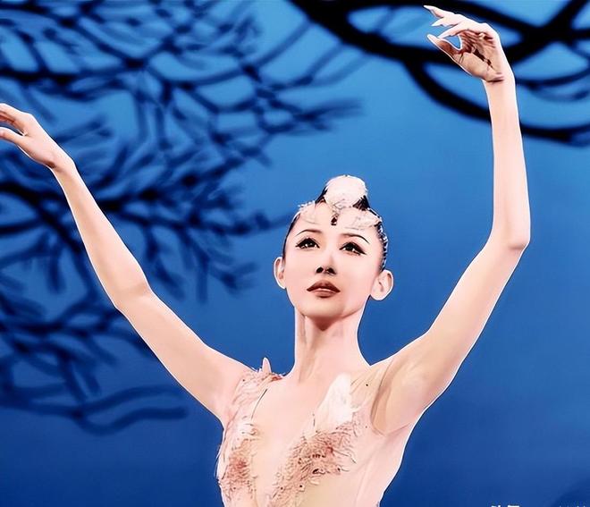 阿鹿工作室 头像